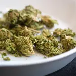 Controllo Routine a Perugia: due Denunce, hashish sequestrato e auto confiscata