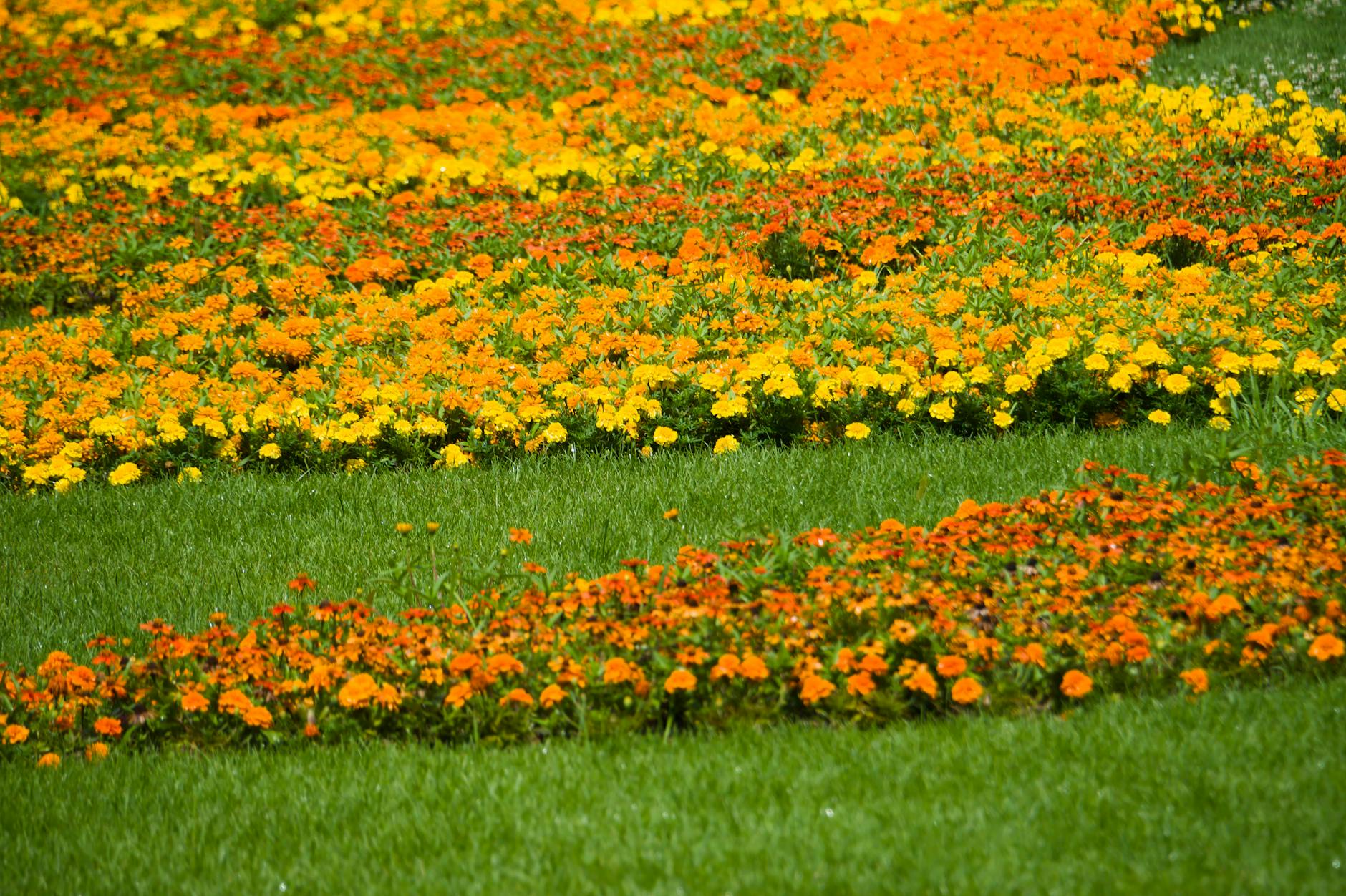 Parma, al via le attività preliminari per la riqualificazione di Piazzale Borri