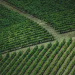 Confagricoltura Parma, Roberto Gelfi confermato presidente fino al 2028