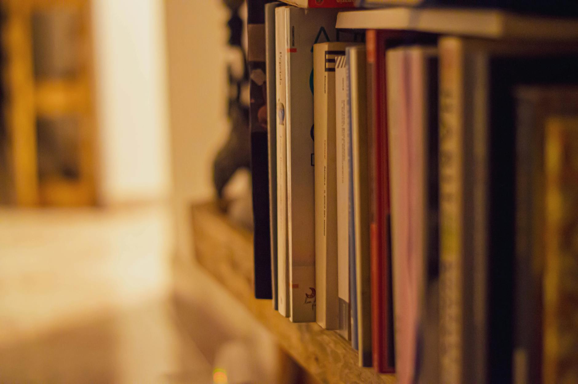 Biblioteca Alice di Parma, servizi sospesi dal 1° giugno per il trasloco