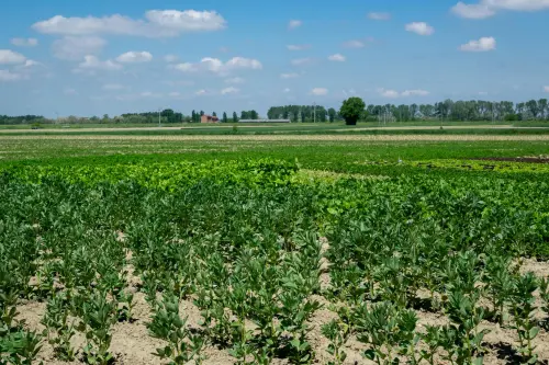 Biologico, 200mila euro ai distretti dell’Emilia-Romagna