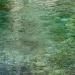 Ponte Ronca, gara da 4,5 milioni per la cassa di espansione