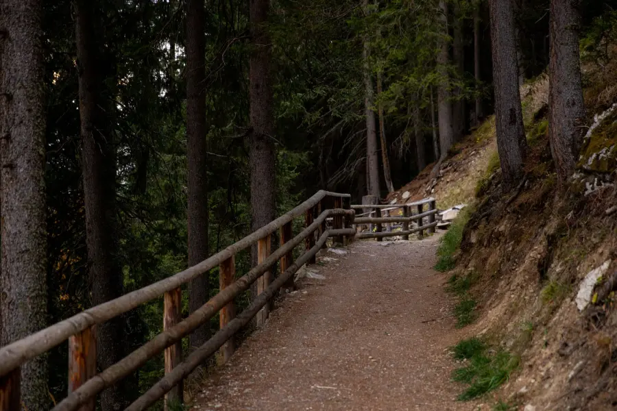 Cammino ’44, da Sant’Anna di Stazzema a Monte Sole