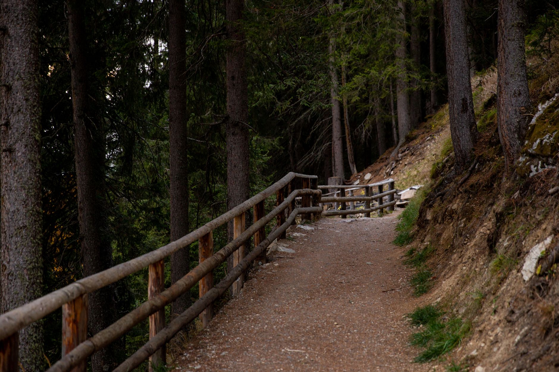 Cammino ’44, da Sant’Anna di Stazzema a Monte Sole