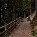 Cammino ’44, da Sant’Anna di Stazzema a Monte Sole