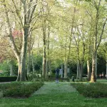 Parma approva il PUG: sviluppo urbano fino al 2050
