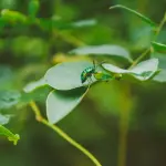 Parma, delegazione del Senegal per il progetto SI-CLIMAT