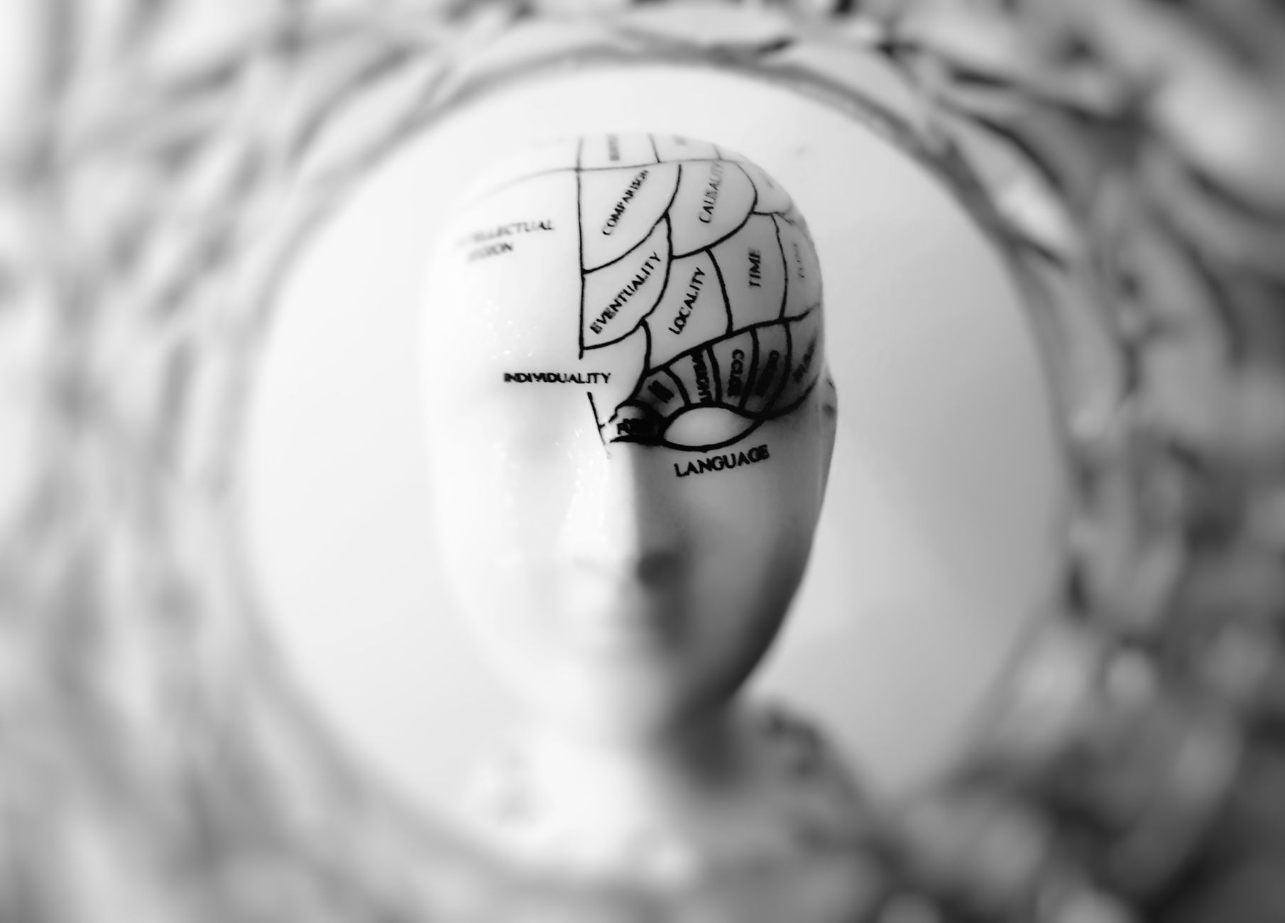 Parma, 21 opere del Toschi nel reparto di Neuropsichiatria