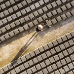 CNA compie 80 anni: una storia di rappresentanza che attraversa la ricostruzione e arriva alle nuove imprese